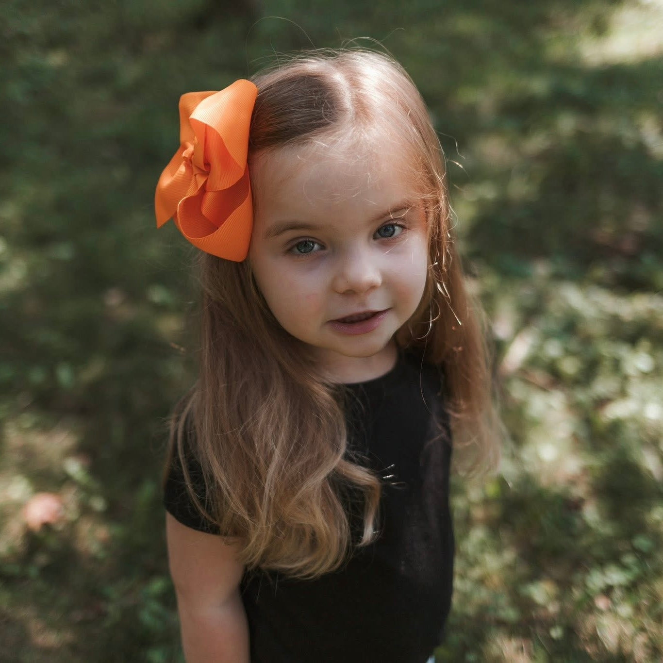Ribbon Bows 6 inch