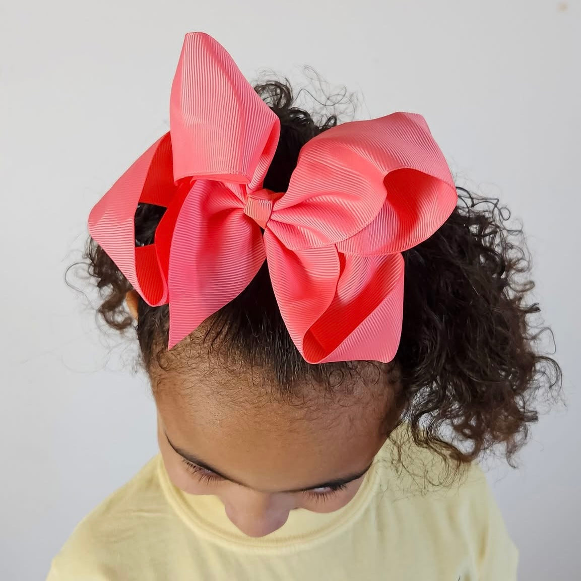 Ribbon Bows 6 inch