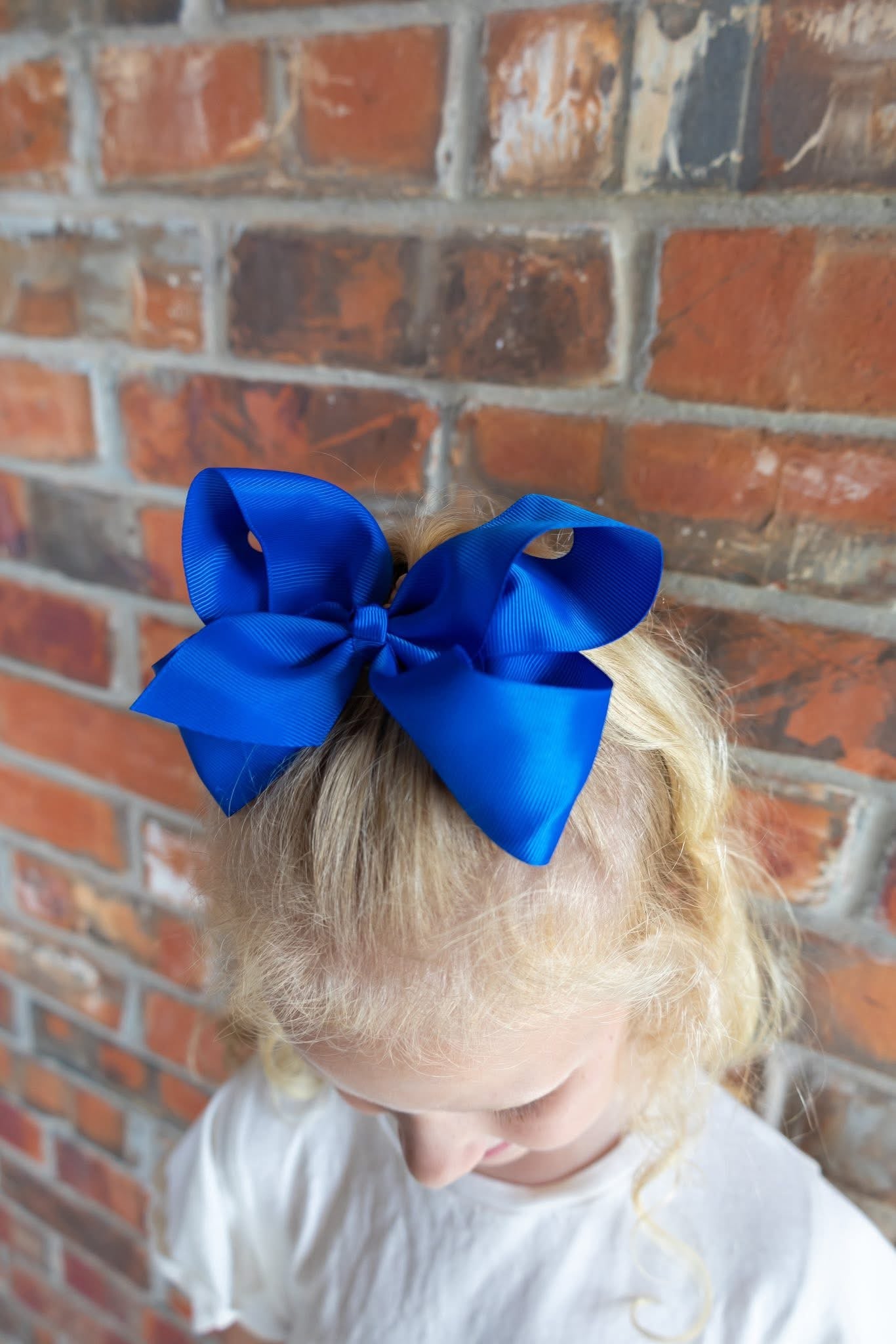Ribbon Bows 6 inch