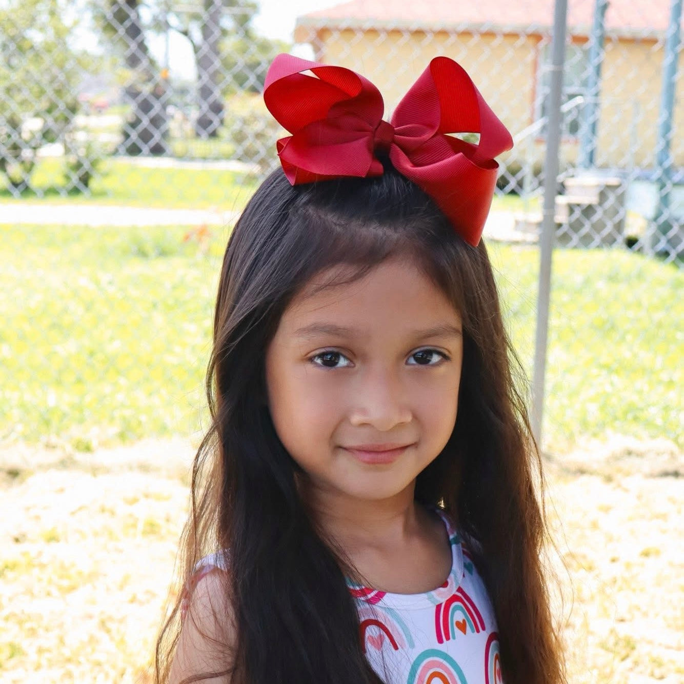 Ribbon Bows 6 inch