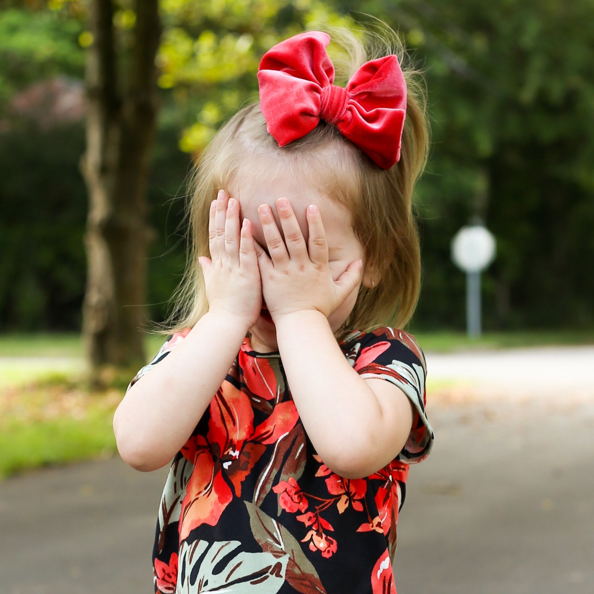 Summer Velvet Fancy Butterfly Bow - Coral