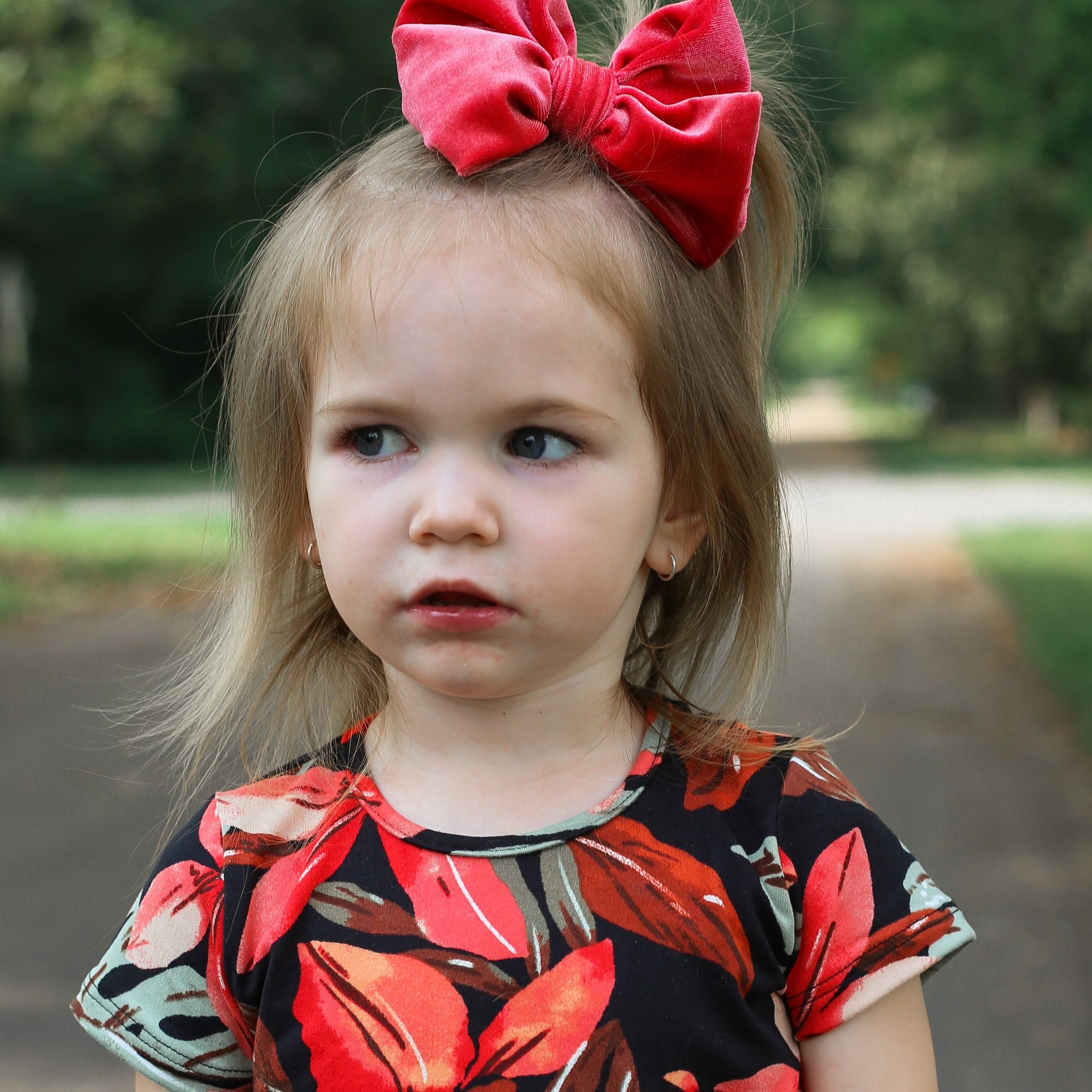 Fancy Butterfly Bow Set - Summer Velvets