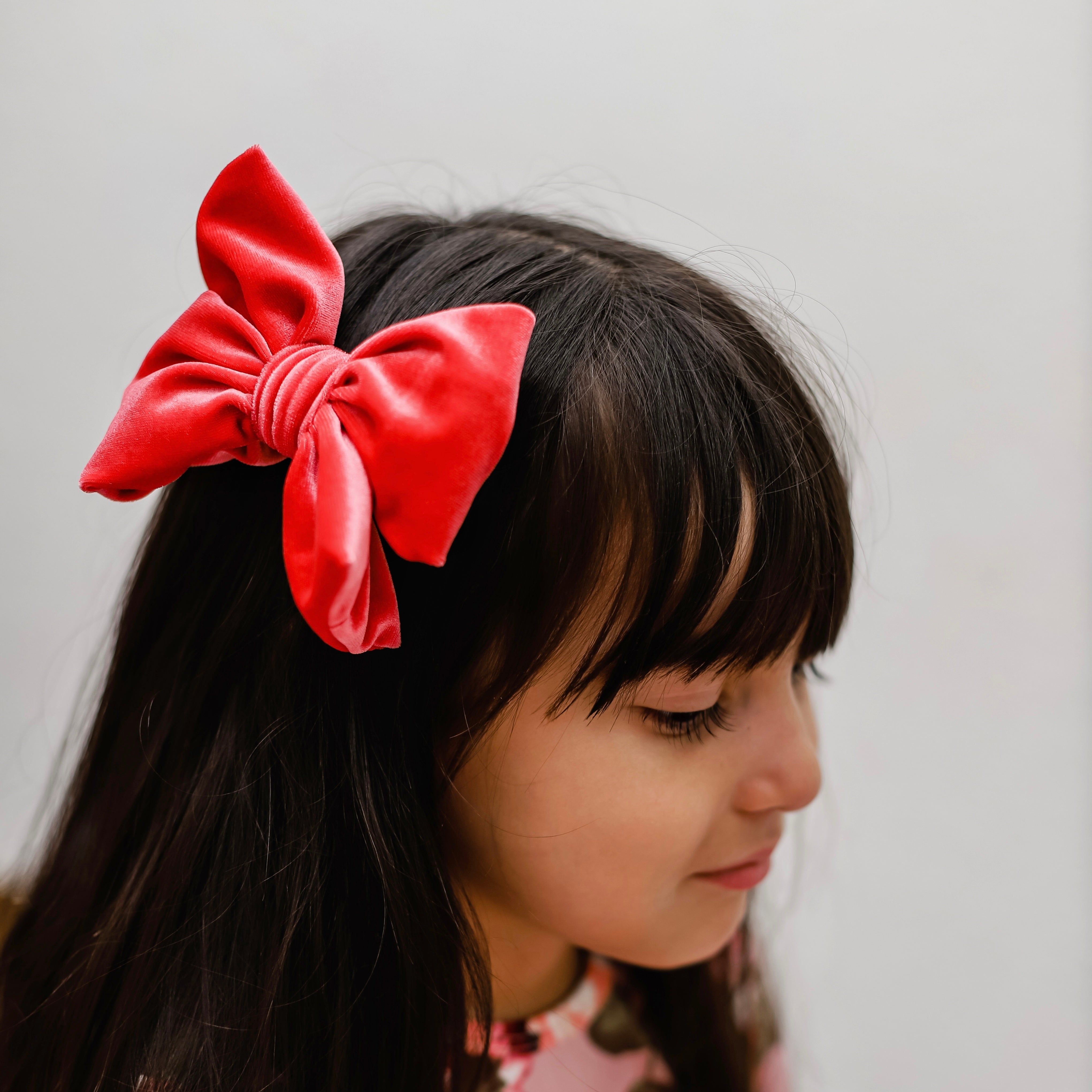 Fancy Butterfly Bow Set - Summer Velvets