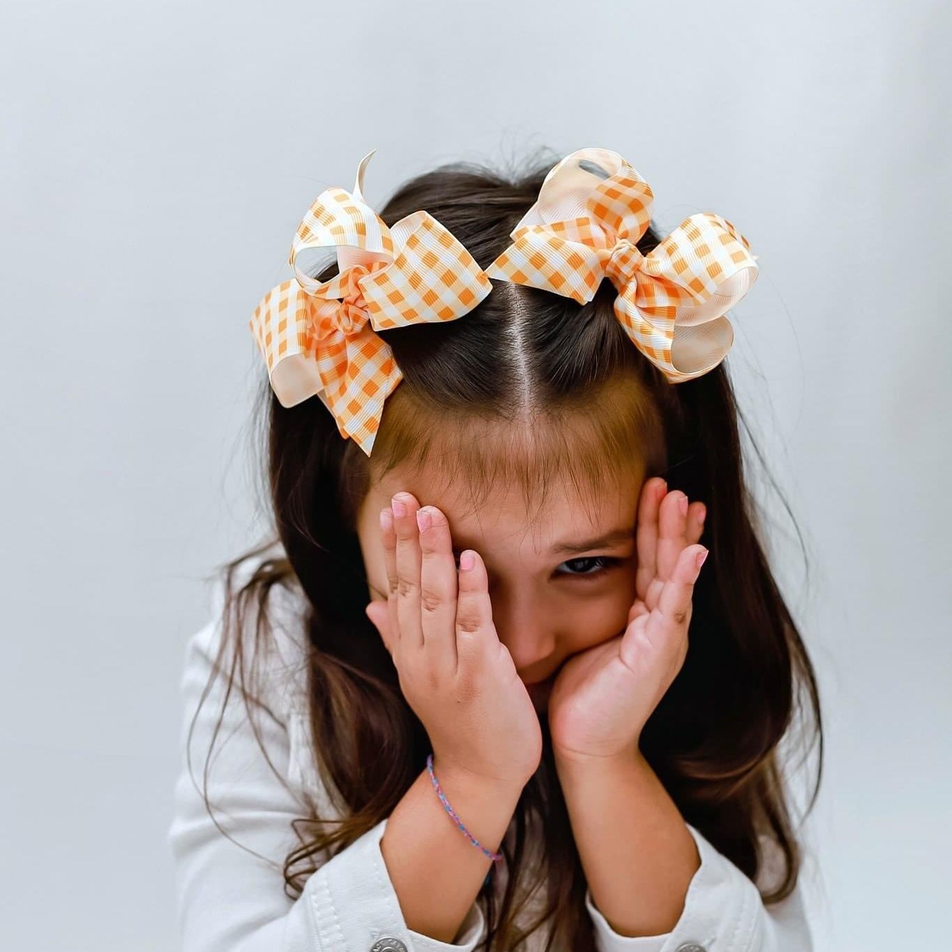 Set of 5 4 Inch Ribbon Gingham