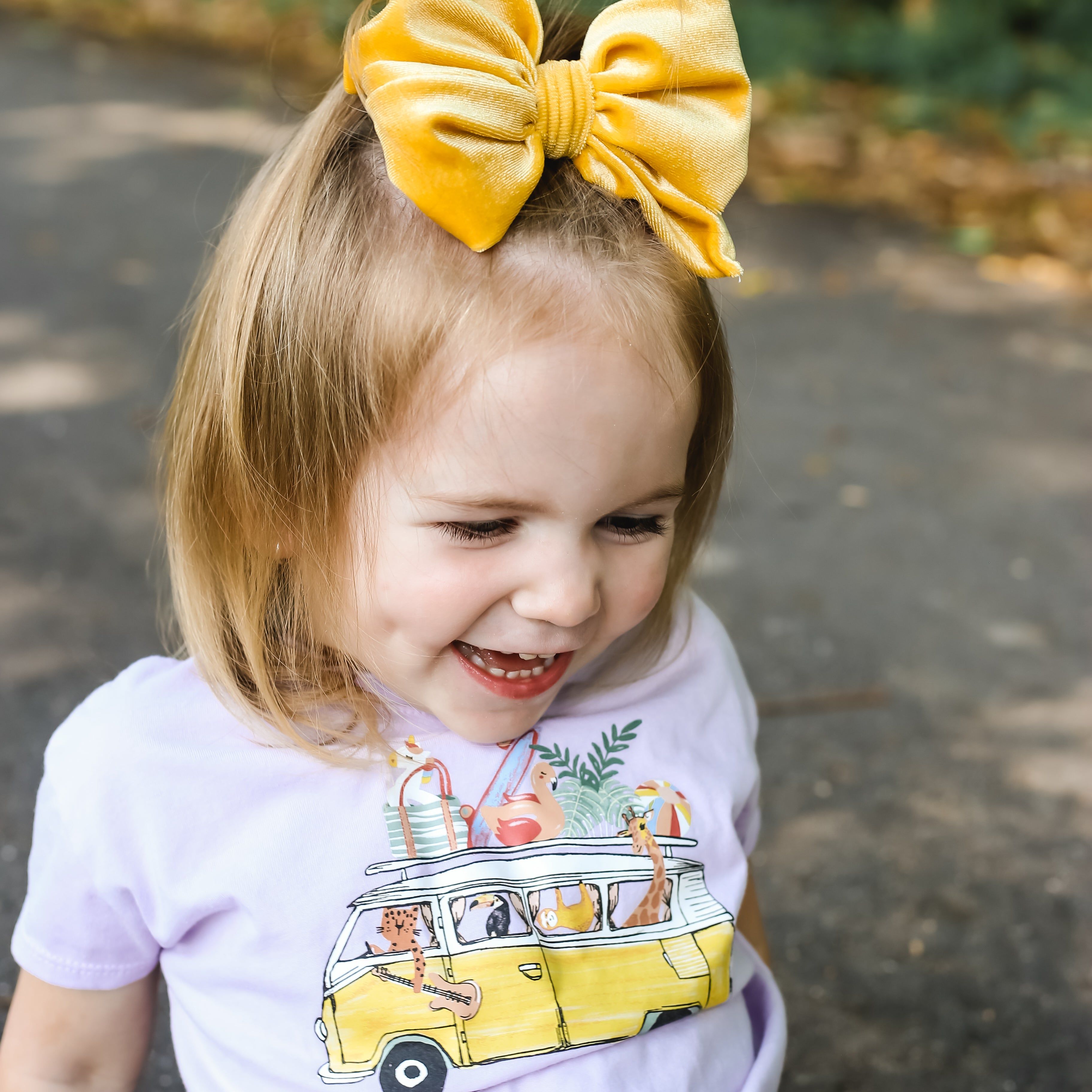 Summer Velvet Fancy Butterfly Bow - Honey