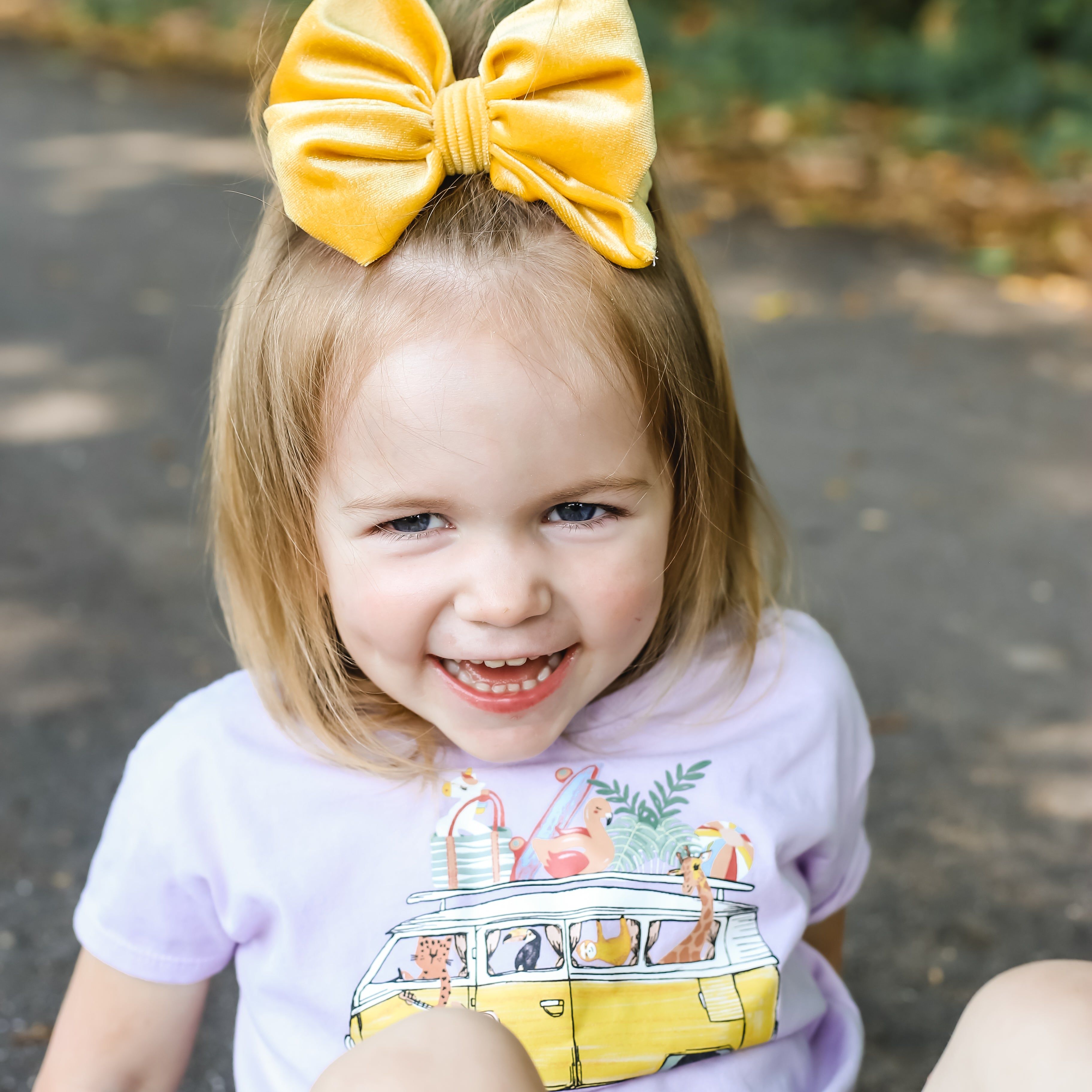 Fancy Butterfly Bow Set - Summer Velvets