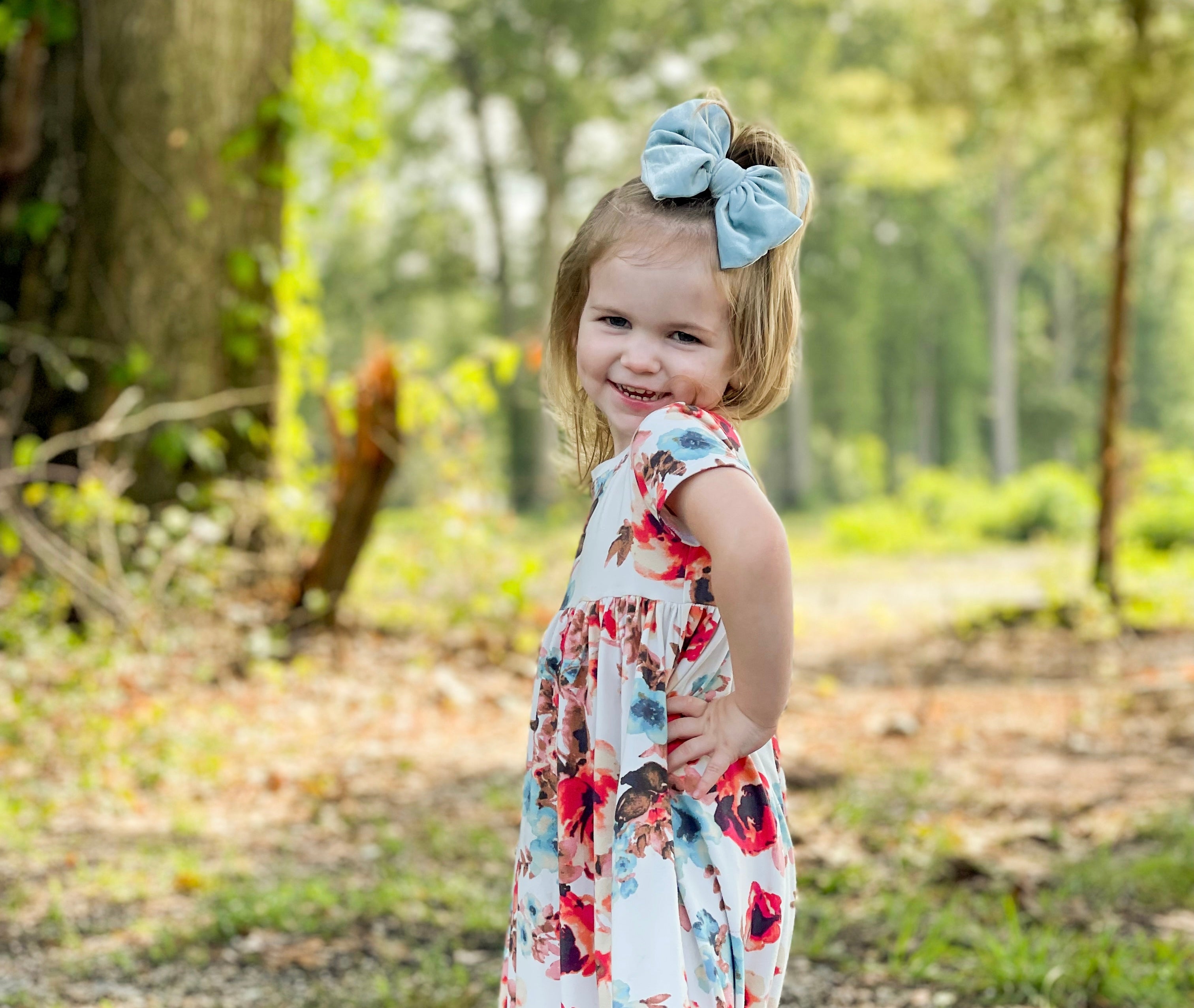 Fancy Butterfly Bow Set - Summer Velvets