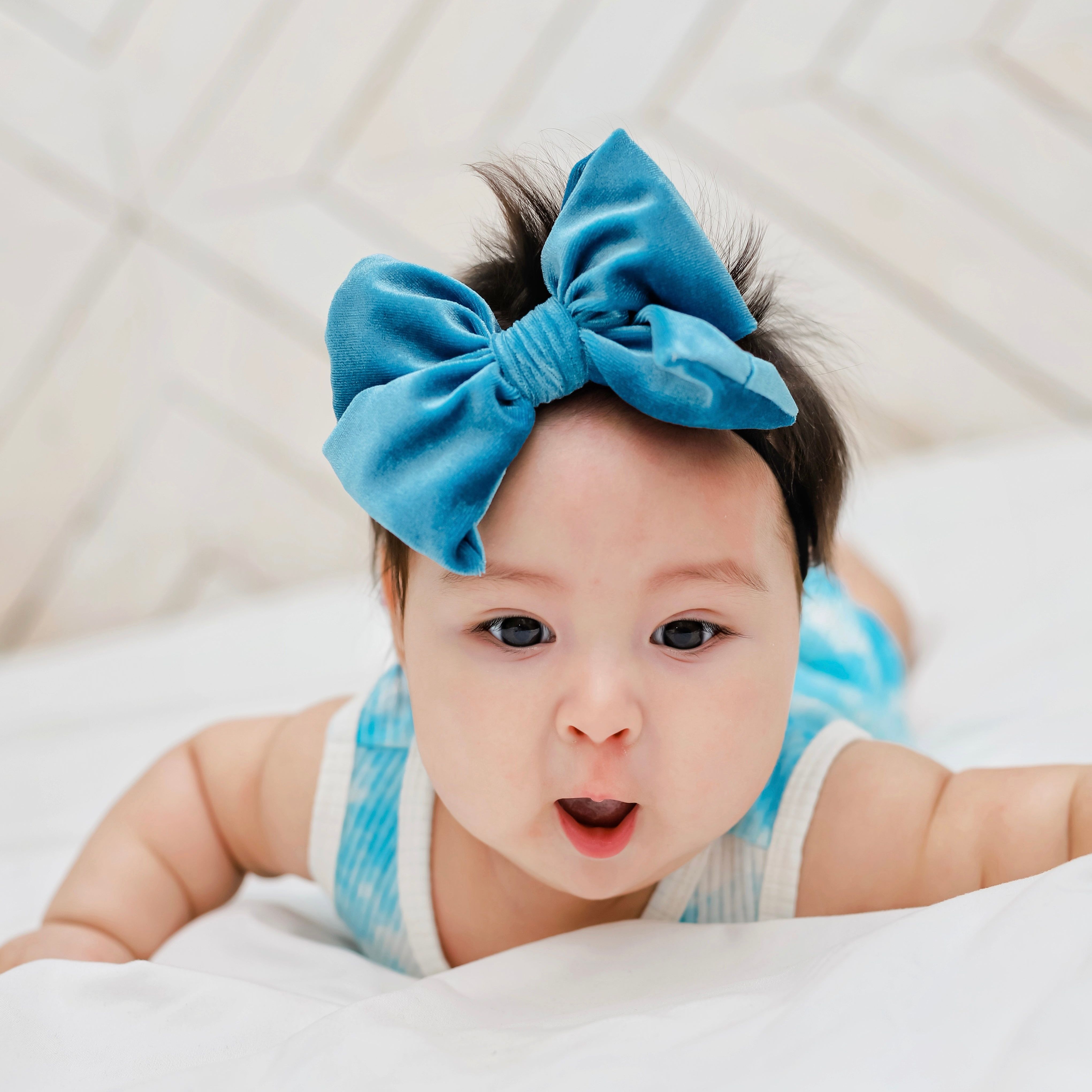 Summer Velvet Fancy Butterfly Bow - Teal