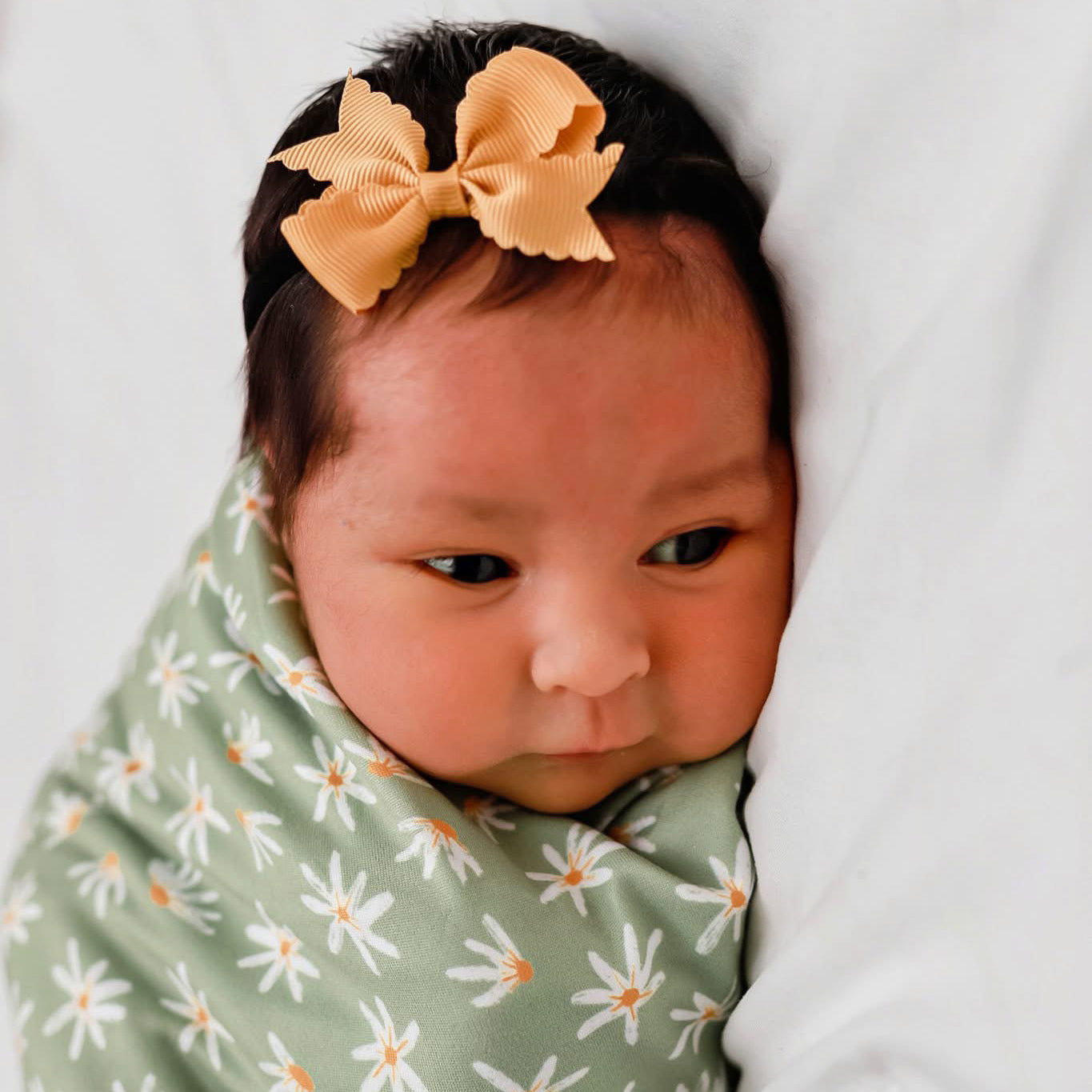 Ribbon Bows