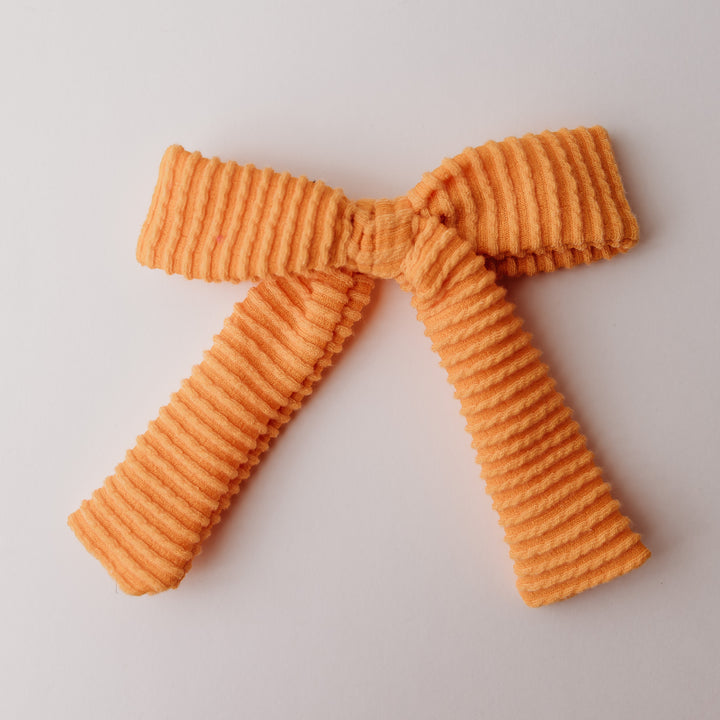 Classy Pumpkin Bow Set