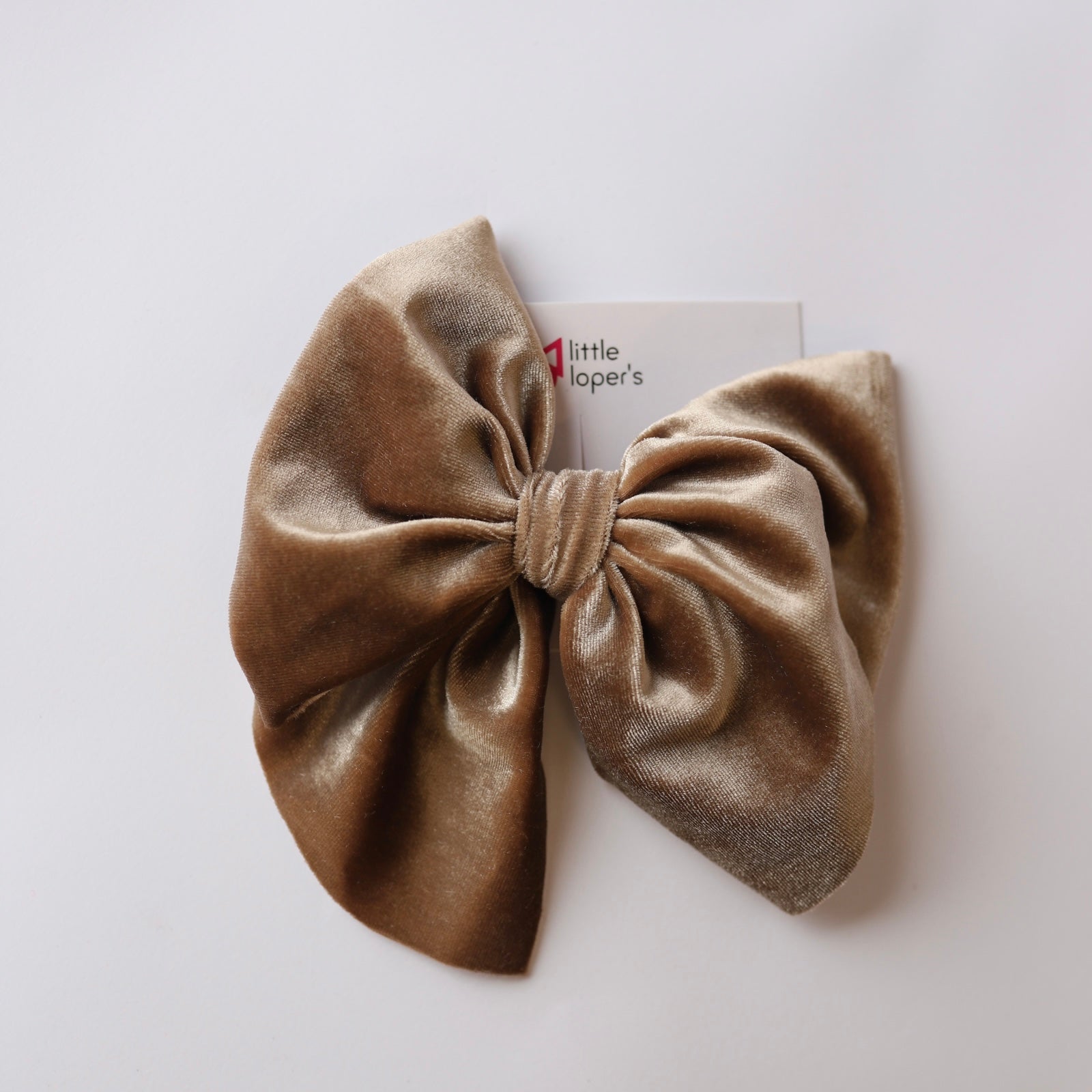 Velvet + Cozy Swanky Collections