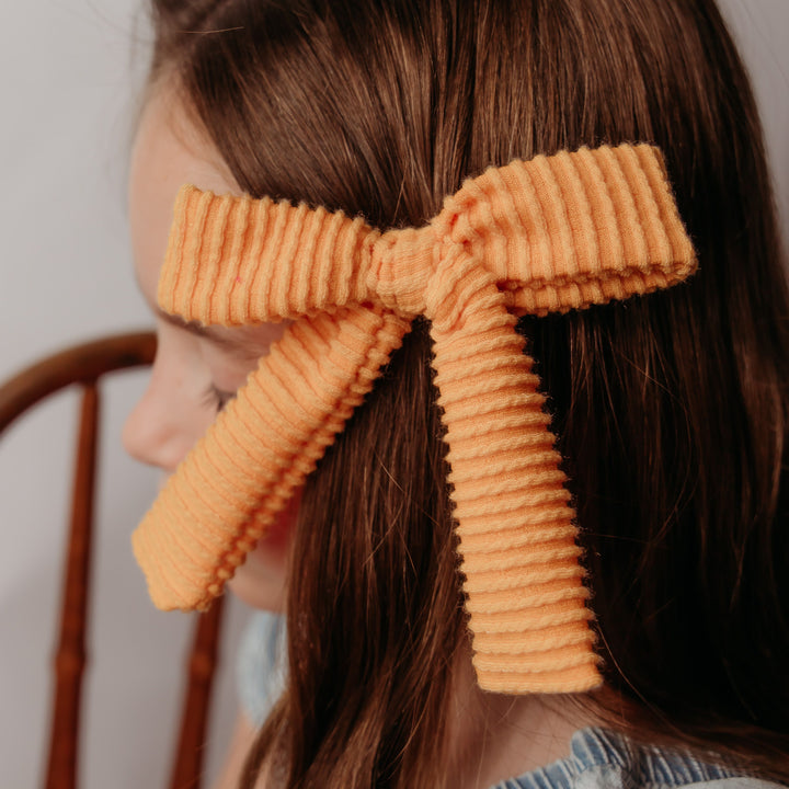 Classy Pumpkin Bow Set