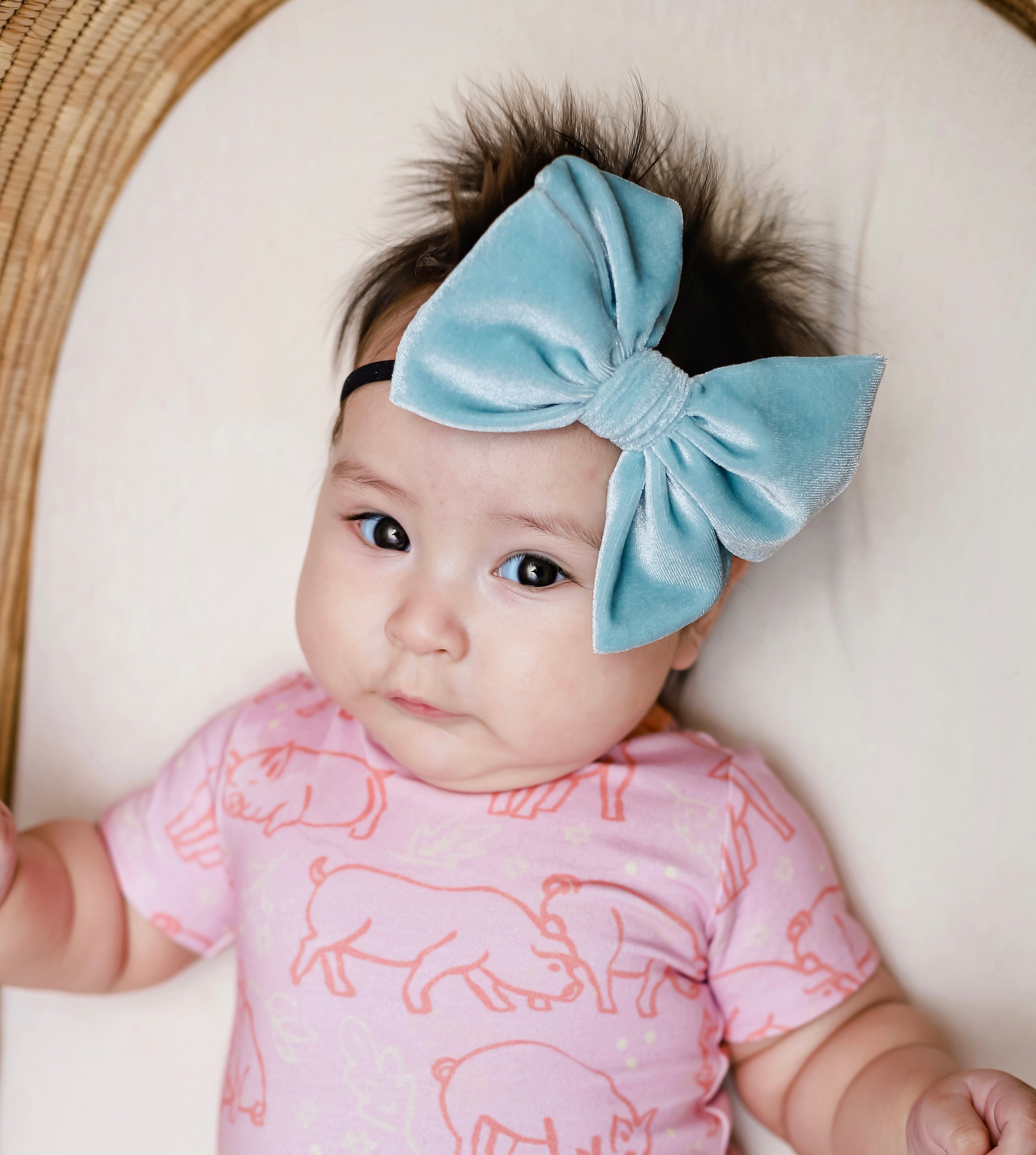 Fancy Butterfly Bow Set - Summer Velvets