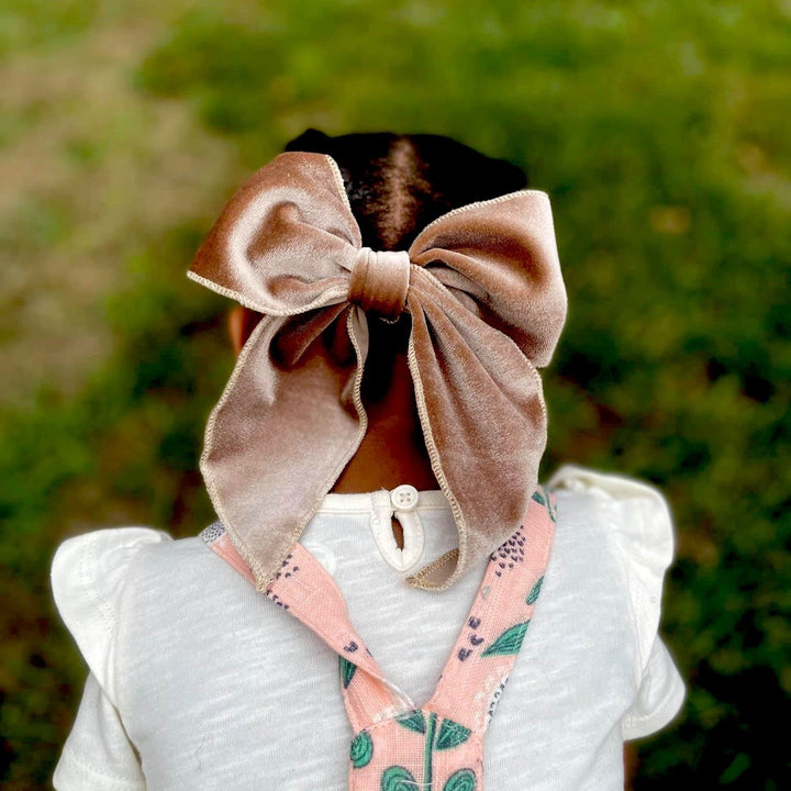 Swanky Velvet Bow Grab Bag